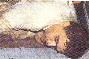 Pic 14 Suresli Shatharam Prabhu
