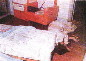 Pic 21 Jagannatham