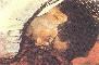 Pic 26 Suresh Kumar